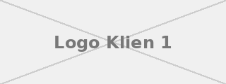 Logo Skinberries